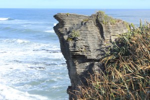 Paparoa NP - Gletscher-029